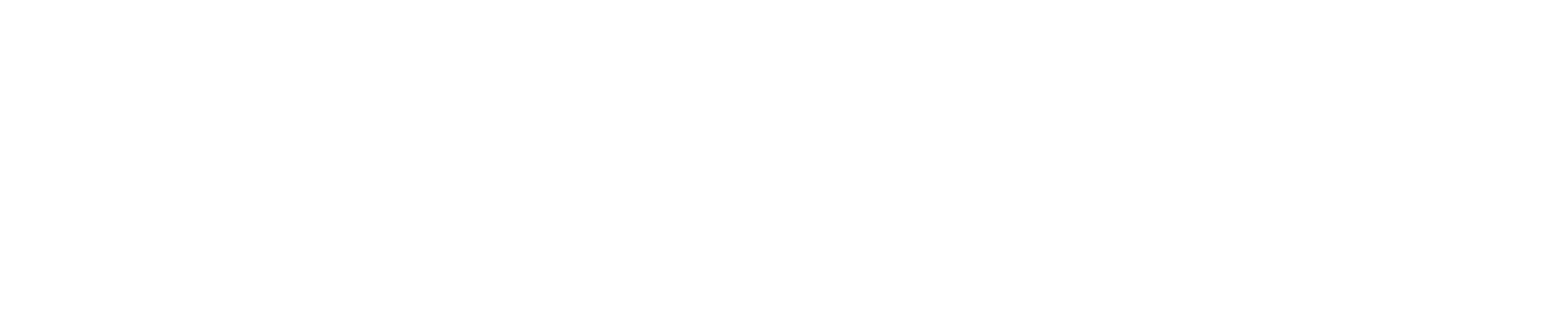 乐虎计算机与信息工程系